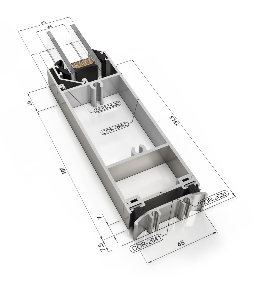 Millennium 2000 Door